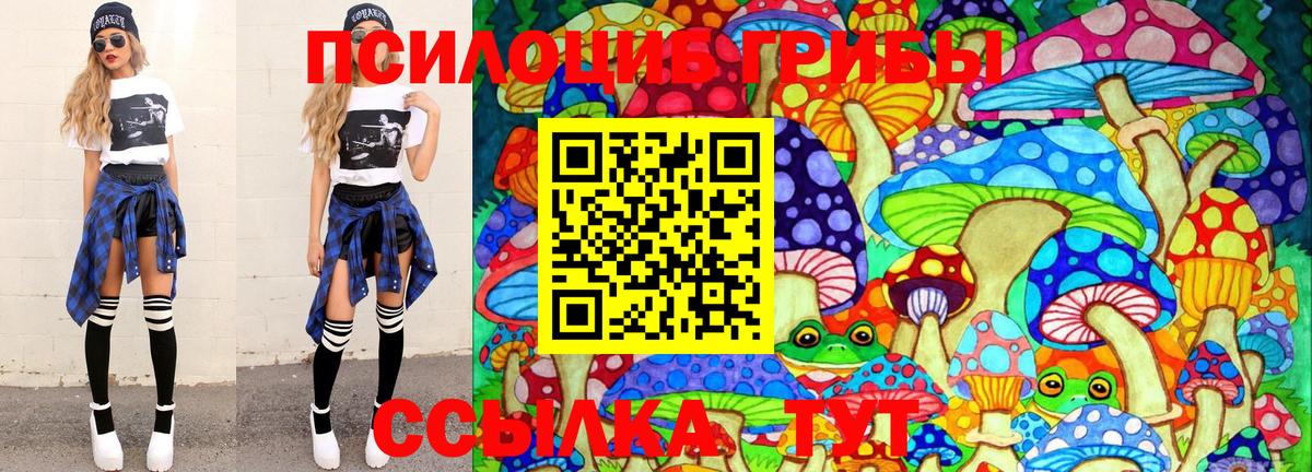 Елизово  Псилоцибиновые грибы мухоморы  Вход с VPN 